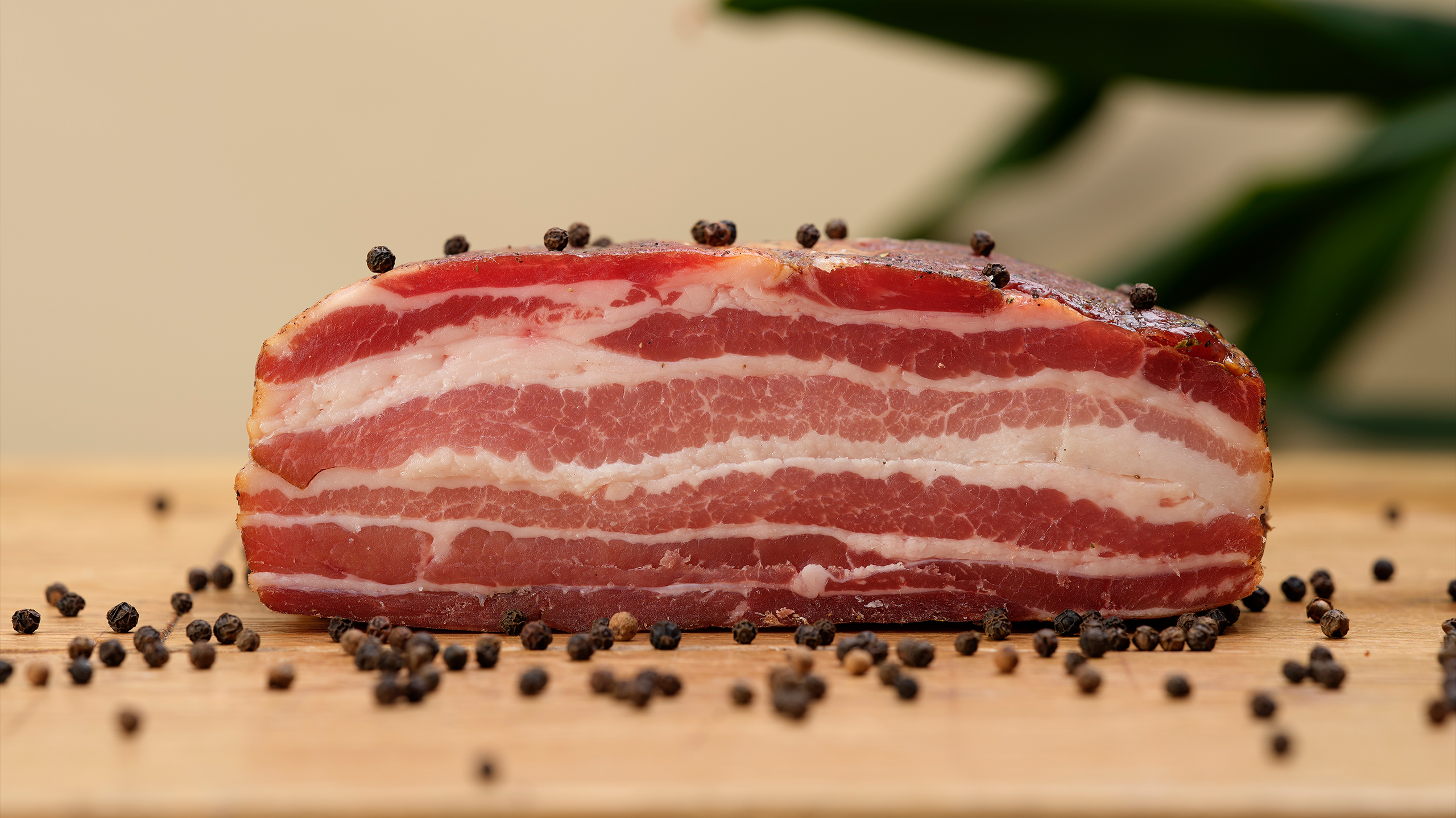 Bacon