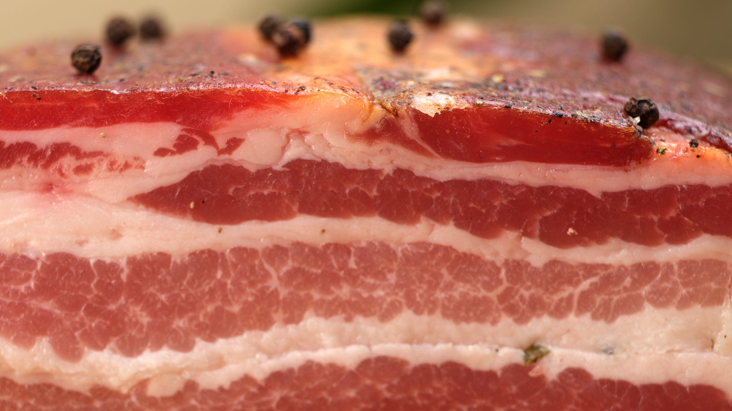Bacon
