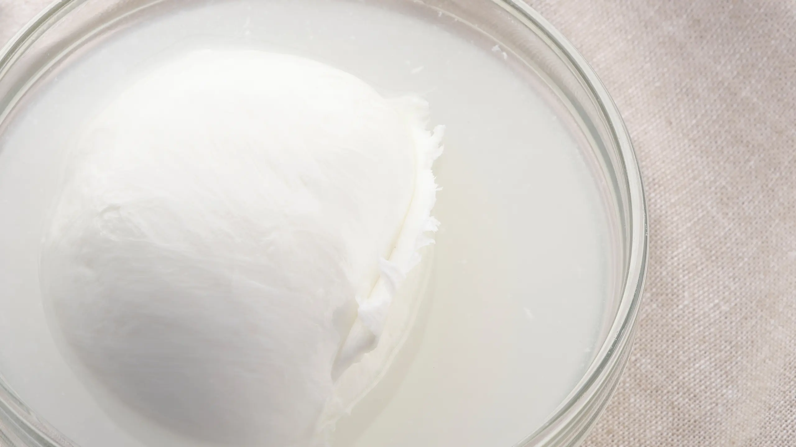Mozzarella di Bufala campana DOP