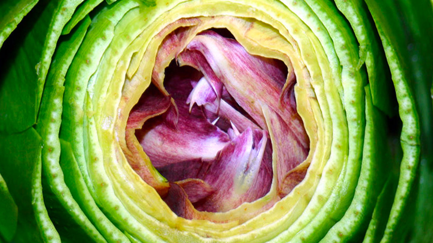 Carciofi