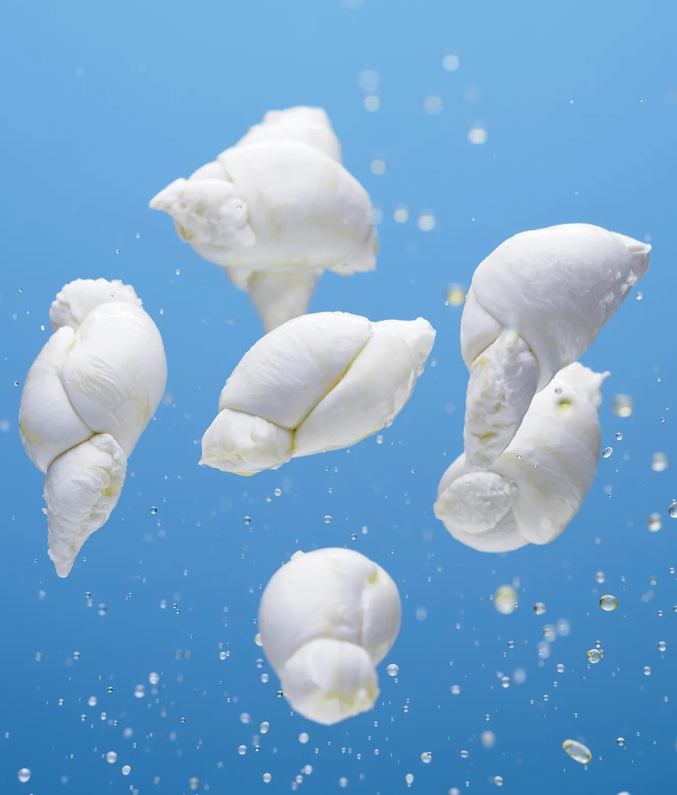 Mozzarella Fiordilatte