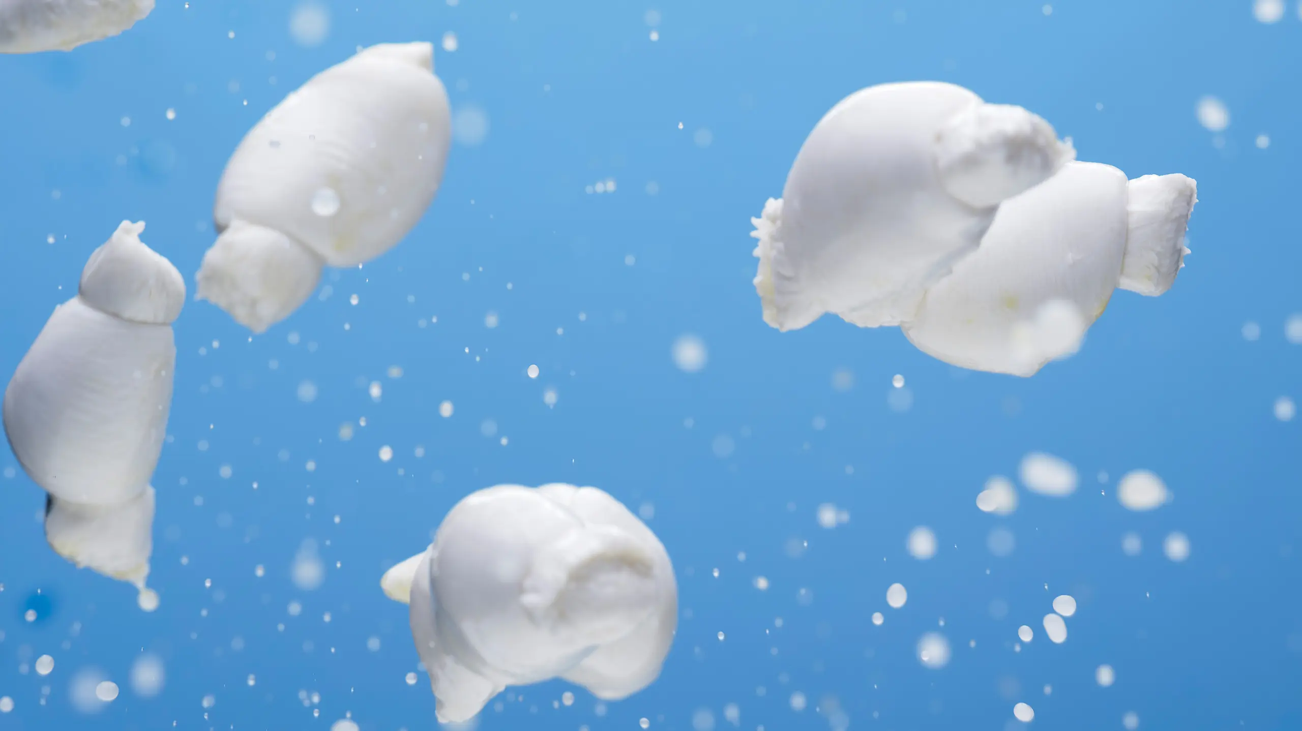 Mozzarella Fiordilatte