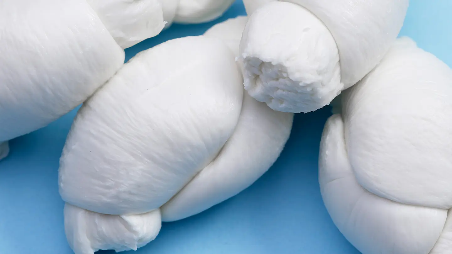 Mozzarella Fiordilatte