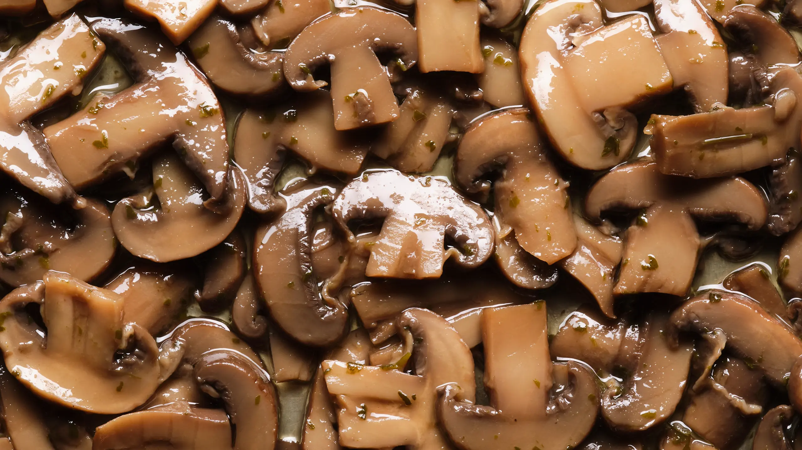 Funghi