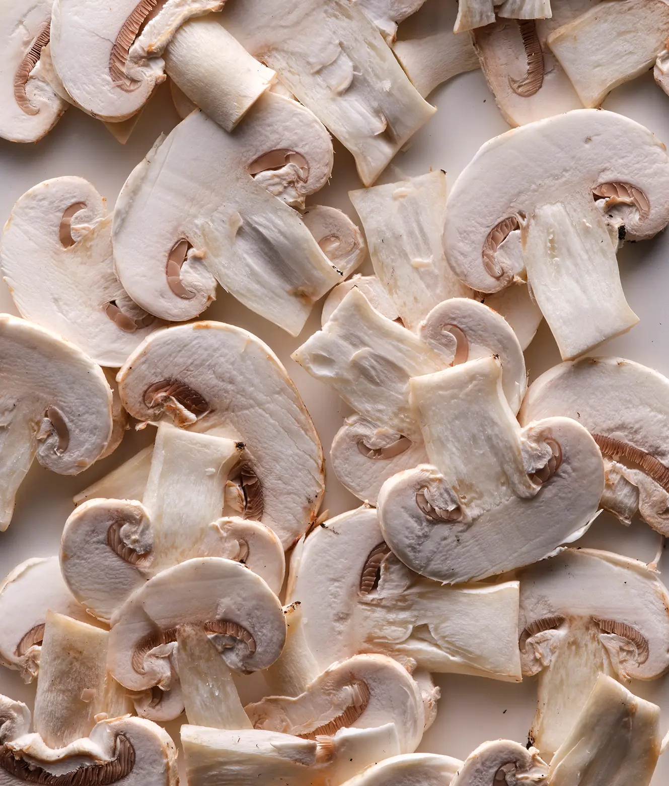 Funghi