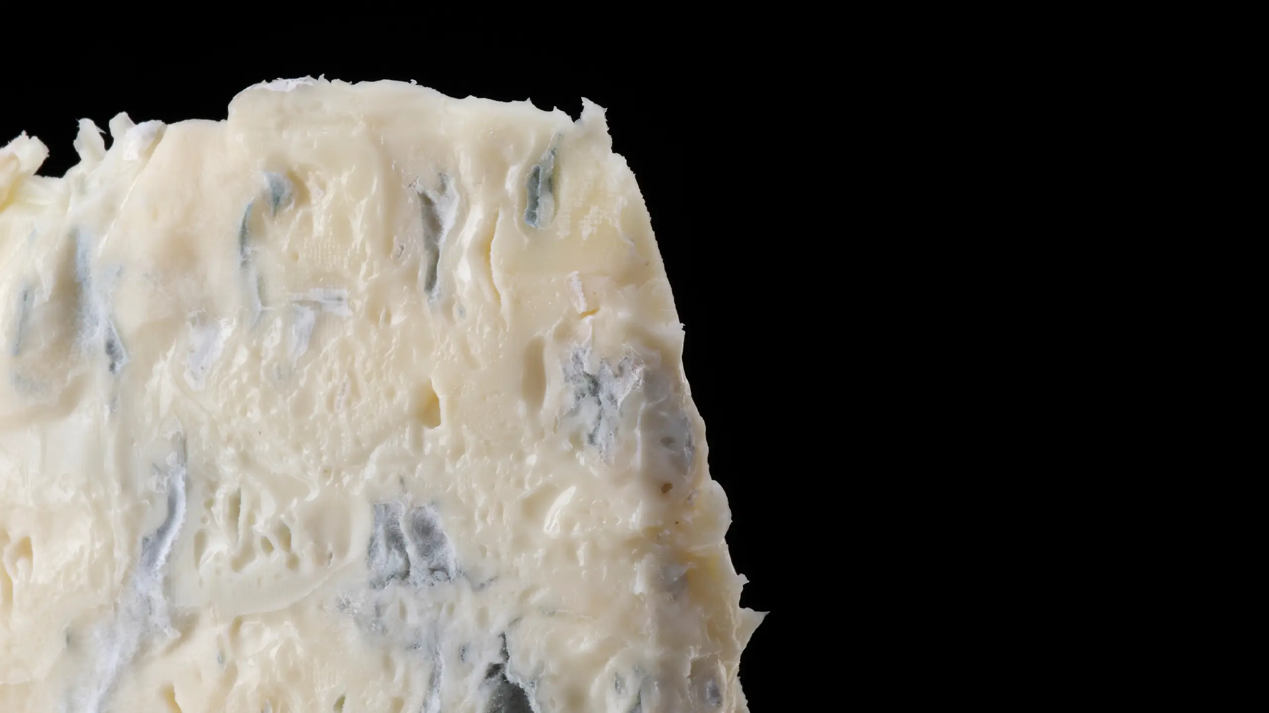 Gorgonzola
