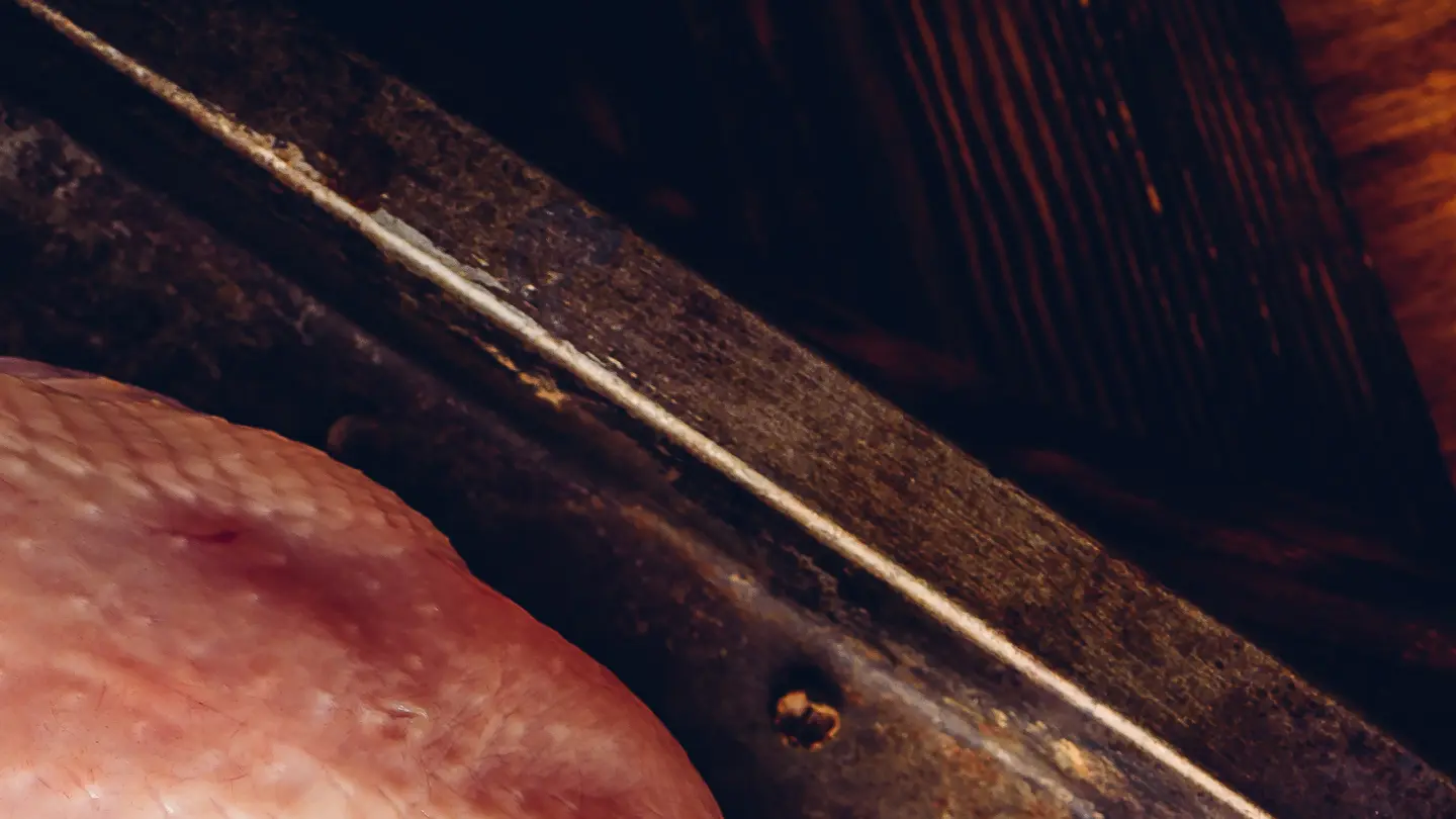 Carne di pollo