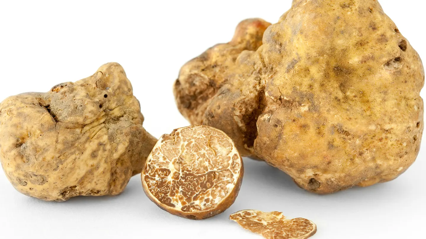 Tartufo