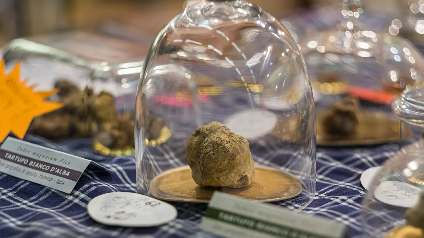 Tartufo