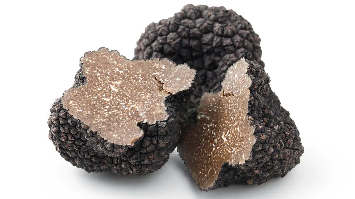 Tartufo
